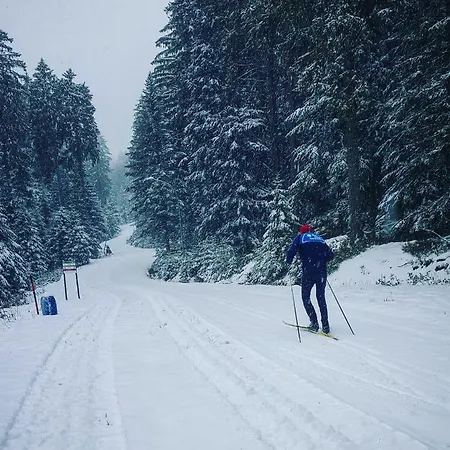 Auszeit Im Schwarzwald * 프로이덴슈타트