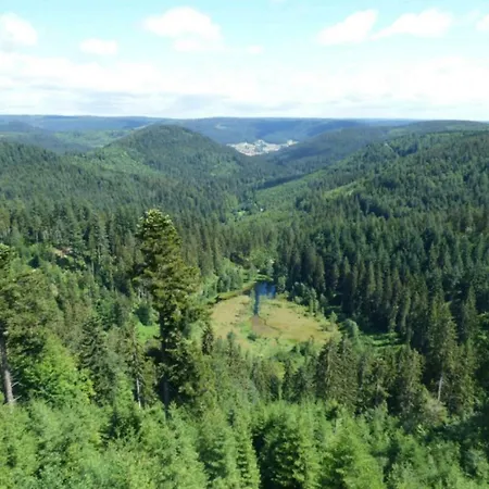 Auszeit Im Schwarzwald 아파트 *
