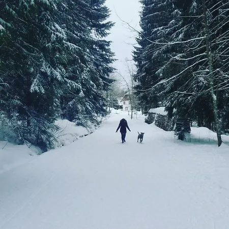 Auszeit Im Schwarzwald 프로이덴슈타트