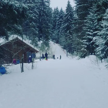 Auszeit Im Schwarzwald 아파트 프로이덴슈타트