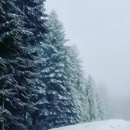 Auszeit Im Schwarzwald *